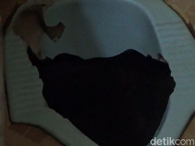 Ini Lubang WC Tempat Ular Sanca 4 Meter Mendadak Nongol