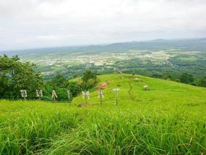 Pesona Alam Bukit Tamiang di Kalimantan Pesona Alam Bukit Tamiang di Kalimantan