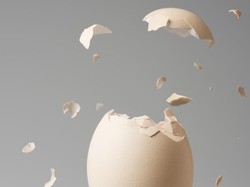 Kronologi Rumah Anggota DPRD Kota Bogor Dilempari Telur oleh OTK