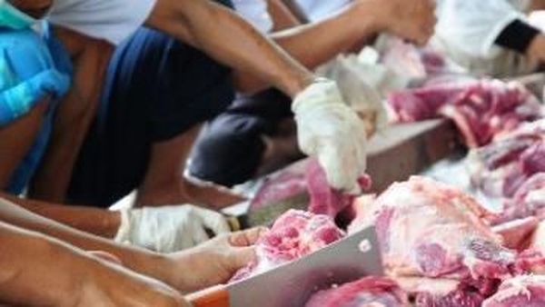 Ini Keseruan Potong Daging Saat Idul Adha