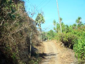 Keindahan di Balik Buruknya Infrastruktur Jalan di Lembata