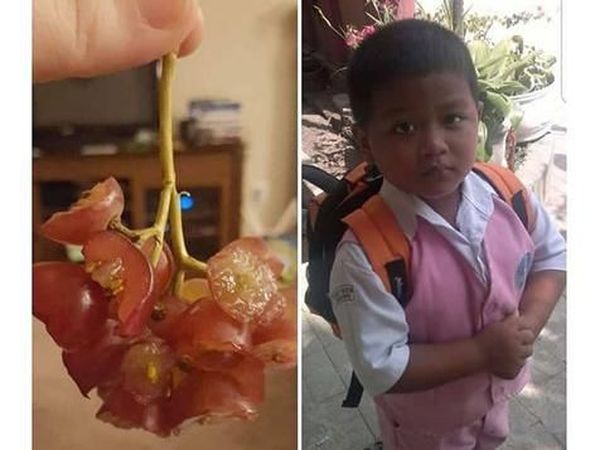 Makanan Salah Bikin dan Salah Pesan dari Netizen Ini Bikin Ngakak