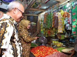 Bupati Serang Ajak Warga Tanam Cabai di Pekarangan