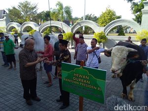 Jokowi Kirim 2 Hewan Kurban untuk Warga DIY