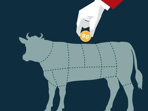 Tips Menabung Demi Kurban