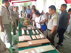 Kaltim Ekspor Olahan Kelapa Sawit Rp 2,23 M ke Vietnam