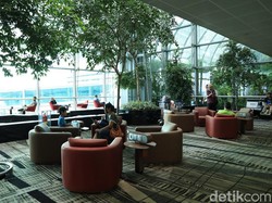Catat! Ini 6 Fasilitas Gratis di Bandara Changi, Singapura