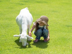 7 Hewan Aneh Ciptaan Manusia, Babi Super Hingga Tikus Glow in the Dark