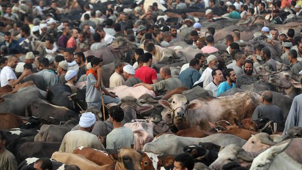 Intip Persiapan Idul Adha di Berbagai Belahan Dunia