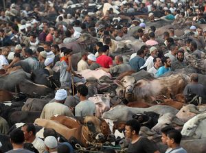 Intip Persiapan Idul Adha di Berbagai Belahan Dunia