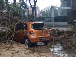 Hujan Berangin Kencang Bikin Pohon Tumbang di Padang, Mobil-3 Rumah Rusak