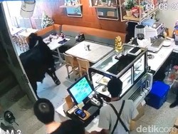 Detik-detik Sapi Kurban Mampir ke Kafe Semarang