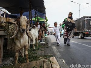 Viral Video #NantiKetuker Sapi, Ada yang Menakut-nakuti Anak? Viral Video #NantiKetuker Sapi, Ada yang Menakut-nakuti Anak?