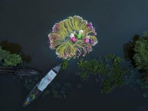 Foto-foto Drone Terbaik 2019