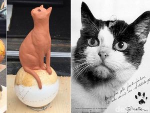 Kisah Felicette, Kucing Pertama yang Dikirim ke Luar Angkasa oleh Prancis