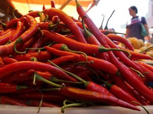 Harga Cabai Sempat Rp 100 Ribu/Kg, Apa Penyebabnya? Harga Cabai Sempat Rp 100 Ribu/Kg, Apa Penyebabnya?