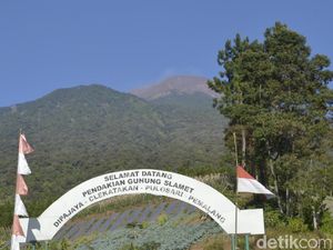 Cerita Relawan, Evakuasi 28 Pendaki di Gunung Slamet