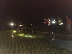 Senjata Makan Tuan, Petani di Ngawi Tewas Tersetrum Jebakan Tikus