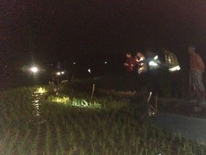 Senjata Makan Tuan, Petani di Ngawi Tewas Tersetrum Jebakan Tikus Senjata Makan Tuan, Petani di Ngawi Tewas Tersetrum Jebakan Tikus