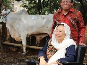 Penyerahan Hewan Kurban ke Sejumlah Masjid di Jakarta
