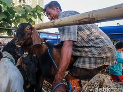 Besok Hari Raya, Netizen Ramai Ucapkan Selamat #EidAlAdha
