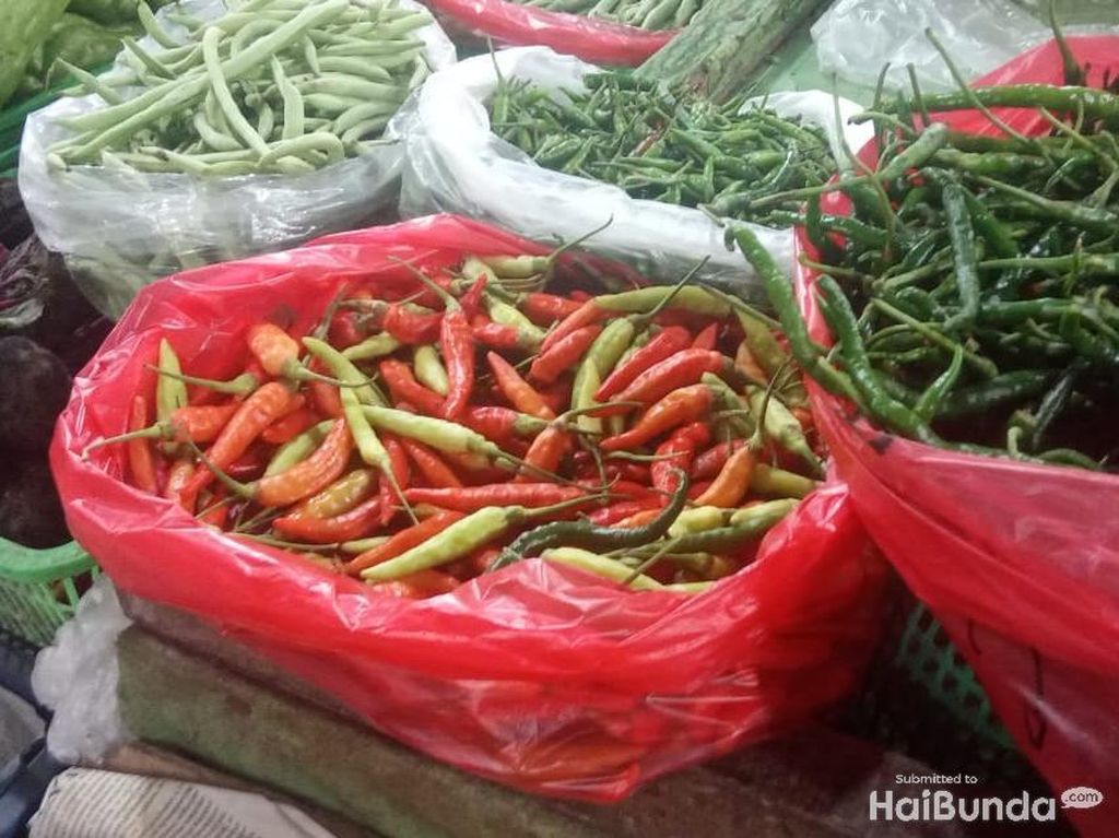 Jelang Idul Adha, Harga Cabai Meroket hingga Rp 100 Ribu/Kg Jelang Idul Adha, Harga Cabai Meroket hingga Rp 100 Ribu/Kg