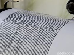 Gempa M 4 Terjadi di Timor Tengah Utara NTT