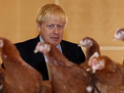 Ekonomi Anjlok, PM Inggris Boris Johnson Berharap pada Tenaga Ahli Asing