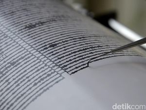 Gempa M 4,4 Terjadi di Sumbawa NTB Gempa M 4,4 Terjadi di Sumbawa NTB