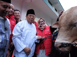 Telkomsel Salurkan Hewan Kurban, Bayar Pakai LinkAja