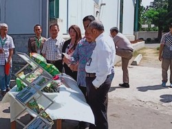 Indonesia Ekspor 115 Ton Edamame ke Jepang