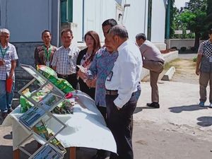 Indonesia Ekspor 115 Ton Edamame ke Jepang Indonesia Ekspor 115 Ton Edamame ke Jepang