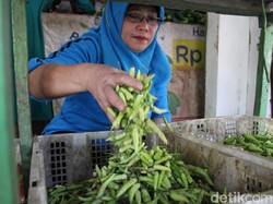 Harga Cabai Rawit Tembus Rp 100 Ribu/Kg, Penjualan di Jombang Turun