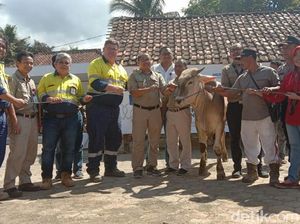 68 Hewan Kurban Disalurkan ke Warga Sekitar Gunung Tumpangpitu