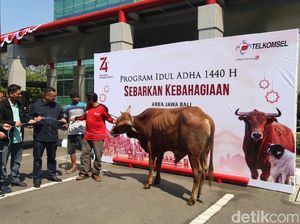 145 Hewan Kurban Akan Dibagikan Telkomsel di Jawa hingga Nusa Tenggara