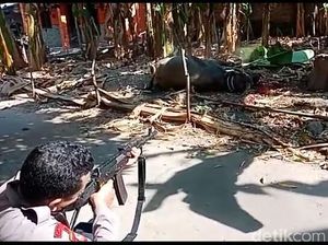 Kerbau Kurban di Kudus Mengamuk Serang Warga, Akhirnya Ditembak Kerbau Kurban di Kudus Mengamuk Serang Warga, Akhirnya Ditembak