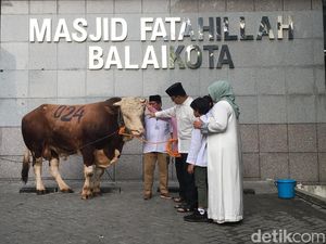 Anies Serahkan Kurban Sapi Limosin 1,2 Ton di Balai Kota