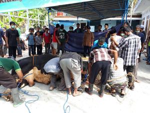 Tata Cara Berkurban yang Baik dan Benar Sesuai Syariat Islam