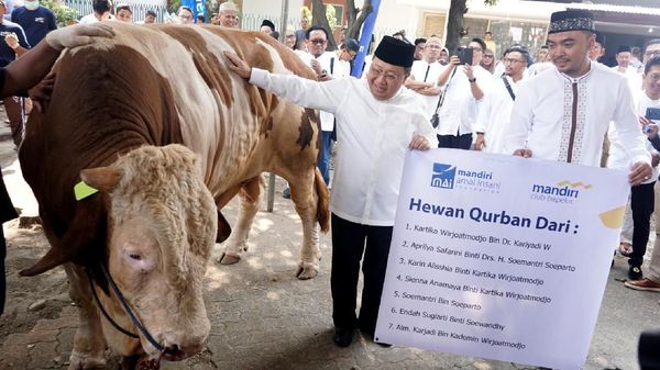 Bank Mandiri Salurkan 281 Hewan Kurban