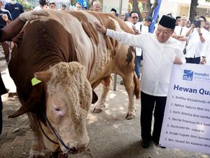 Bank Mandiri Salurkan 281 Hewan Kurban