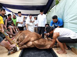 Alat Menyembelih Hewan dalam Islam Terbuat dari Apa Ya? Alat Menyembelih Hewan dalam Islam Terbuat dari Apa Ya?