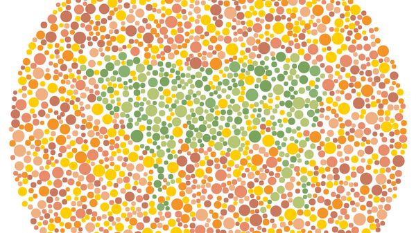 Tes Buta Warna Edisi Idul Adha, Bisa Tebak Siluet Apa Ini?