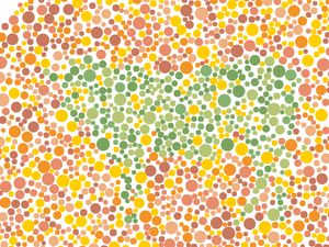 Tes Buta Warna Edisi Idul Adha, Bisa Tebak Siluet Apa Ini?