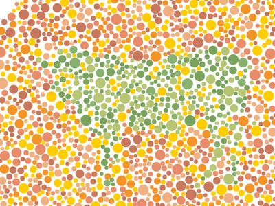 Tes Buta Warna Edisi Idul Adha, Bisa Tebak Siluet Apa Ini?