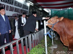 Masjid Istiqlal Serahkan Distribusi Daging Kurban ke Yayasan Masjid Istiqlal Serahkan Distribusi Daging Kurban ke Yayasan
