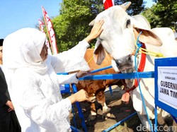 Khofifah Bicara Soal Makna Berkurban dan Penggunaan Besek