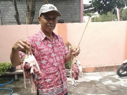 Warga Blitar Balik ke Zaman Dulu, Ikat Daging Kurban Pakai Tali Bambu