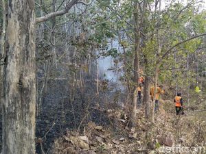 Karhutla di Wonogiri Meluas Semakin Mendekati Pemukiman Warga