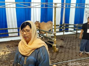 Cerita Destry Damayanti Pertama Kali Lihat Sapi Disembelih Cerita Destry Damayanti Pertama Kali Lihat Sapi Disembelih