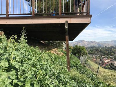 Bikin Dengkul Lemes, Rumah Ini Dikit Lagi Ambruk